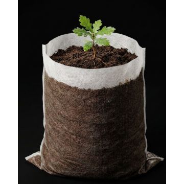 247Garden 12x12" 2-Gallon Aeration Seedling Pot/Nursery Fabric Plant Grow Bag/Cover/Filter (40GSM Non-Woven Eco-Friendly 30CM x 30CM White Fabric) 8D x 10H