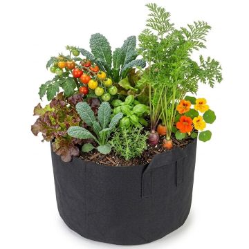 247Garden 15-Gallon Aeration Fabric Pot/Plant Grow Bag w/Handles (Black 14.5H x 17D)