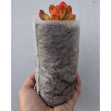 247Garden 6x8" 1/4-Gallon Aeration Seedling Pots/Nursery Fabric Plant Grow Bags (40GSM Non-Woven Eco-Friendly Fabric 6H x 3.5D 0.25-Gallon)