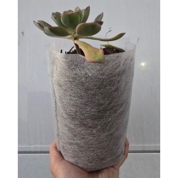 247Garden 8X10" Aeration Seedling Pot/Nursery Fabric Plant Grow Bag/Cover/Filter (40GSM Non-Woven BPA-Free ~8.5H X 5D, 0.70-Gallon)