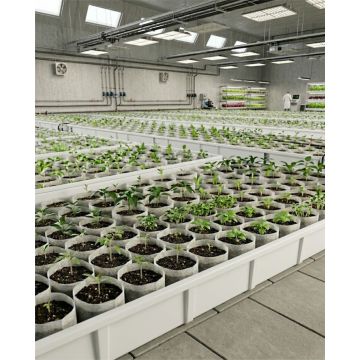 247Garden 100-Pack 7x9" Aeration Seedling Pot/Nursery Fabric Plant Grow Bag/Cover/Filter (40GSM Non-Woven Eco-Friendly Fabric) 4D x 7H ~0.40-Gallon w/Free USA Shipping