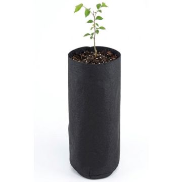 247Garden 1/2-Gallon Skinny Tall Black Fabric Pot/Deep Aeration Plant Grow Bag 4D x 10H