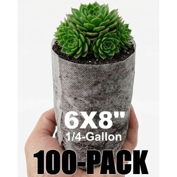 247Garden 100-Pack 6x8" 1/4-Gallon Aeration Seedling Pots/Nursery Fabric Plant Grow Bags (40GSM Non-Woven Eco-Friendly Fabric ~6H x 3.5D 0.25-Gallon) w/Free Shipping USA