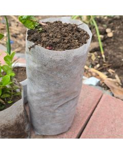 100-Pack 247Garden 1/2-Gallon Skinny Starter Plant Grow Bag White 40GSM Aeration Fabric Pot BPA-Free 4D x 10H + Free USA Shipping