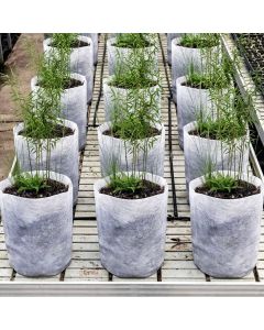 Wholesale 1600PC/BOX 1-Gallon OG Square Starter Plant Grow Bags White 60GSM Aeration Fabric Pots BPA-Free 7D x 6H w/Adjustable Height +Free Shipping USA