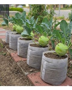 5-Pack 247Garden 3-Gallon OG Square Starter Plant Grow Bags White 60GSM Aeration Fabric Pots BPA-Free 8.5D x 7.5H w/Adjustable Height +Free Shipping USA