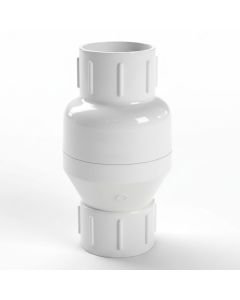 2 in. Schedule 40 PVC Spring Check Valve FPT x FPT Threaded Fitting