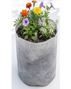 960PC/BOX 247Garden 2-Gallon Tall Starter Plant Grow Bag White 60GSM Aeration Fabric Pot BPA-Free 7D x 12H +Free Shipping USA Mainland