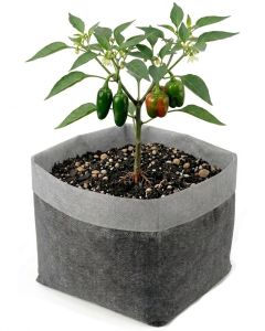 247Garden 1-Gallon OG Square Starter Plant Grow Bag White 60GSM Aeration Fabric Pot BPA-Free 7D x 6H