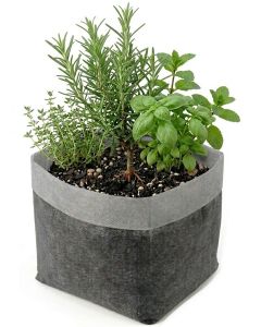 247Garden 1.5-Gallon OG Square Starter Plant Grow Bag White 60GSM Aeration Fabric Pot BPA-Free 8D x 7H