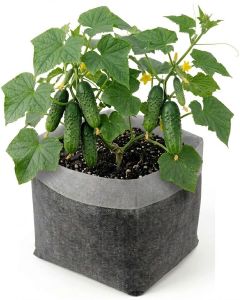 247Garden 3-Gallon OG Square Starter Plant Grow Bag White 60GSM Aeration Fabric Pot BPA-Free 10D x 9H